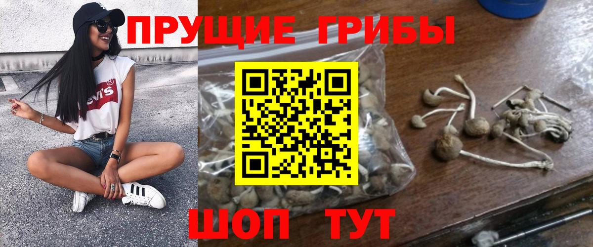 Кизляр  Галлюциногенные грибы мухоморы  Вход с VPN 