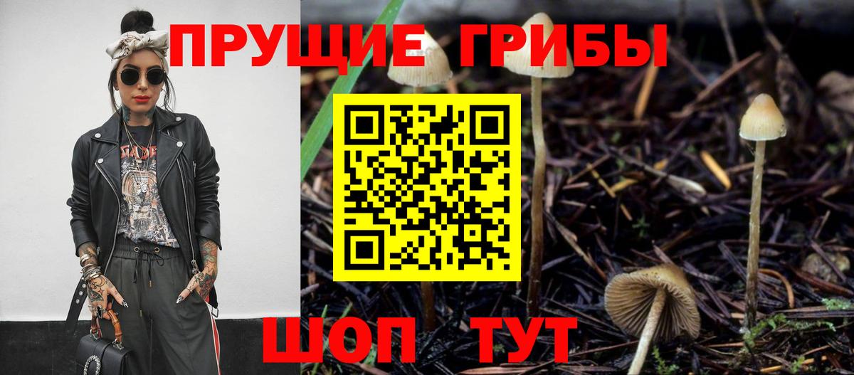 Псилоцибиновые грибы прущие грибы Кизляр